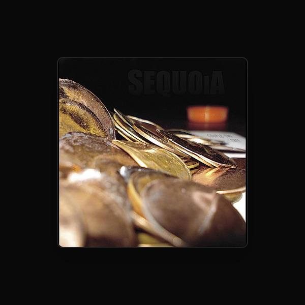 Sequoia