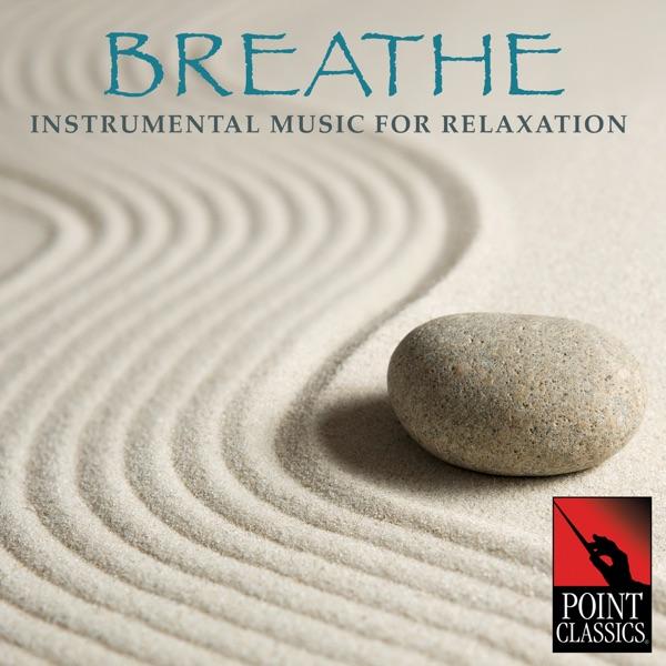 Symphony No. 8 In G Major "Le Soir" Hob.I:8: Andante