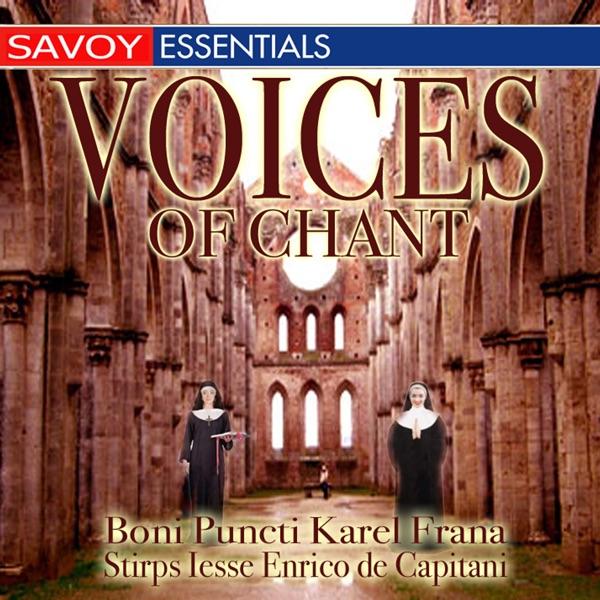 In Festo Nativitatis B.M.V.: Introitus (Salve, sancta Parens)