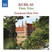 Flute Trio No. 1 in E Minor, Op. 86: IV. Rondo