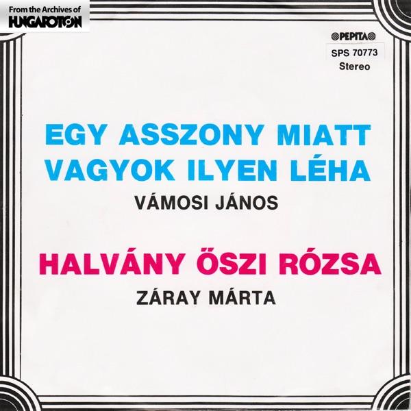 Halvány Őszirózsa