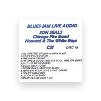 Son Seals, Chicago Fire Band, Howard & The White Boys