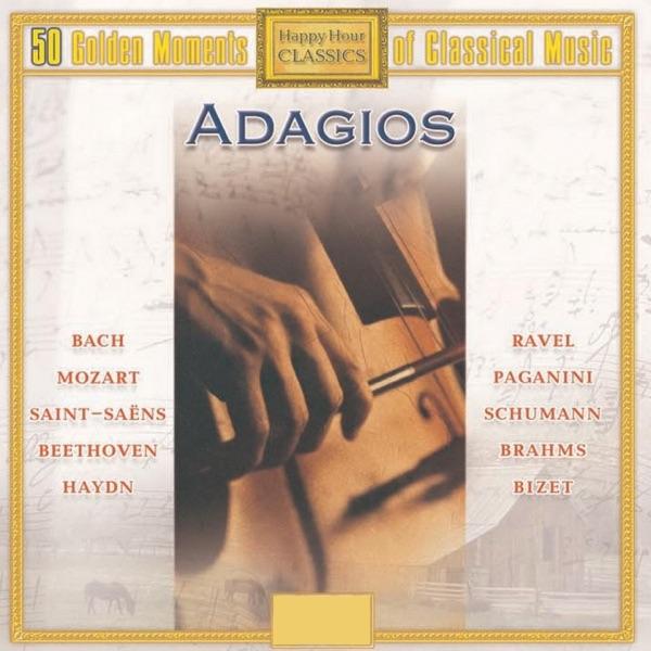 Brandenburg Concerto No. 1, in F major, BWV. 1046: II. Adagio