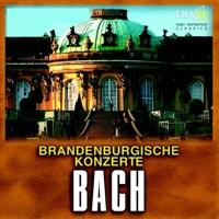 Brandenburg Concerto No.4 in G major, BWV 1049 : I. Allegro