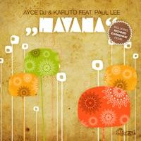 Havana (Richard Earnshaw Dub Mix)