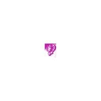Spirit Guide Contact