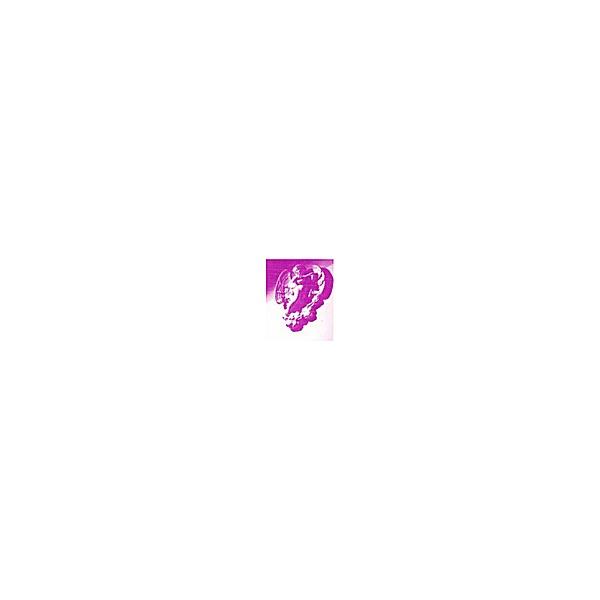 Spirit Guide Contact