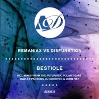 Bestiole (DJ Groover Mix)