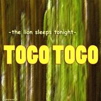 The Lion Sleeps Tonight (Trance Hall Mix)