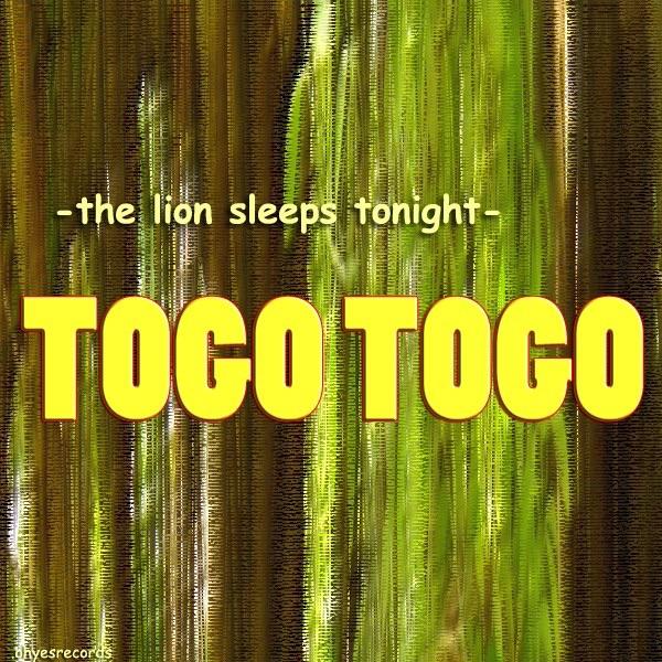 Togo-Jungle-Night (Special Jungle Operation)