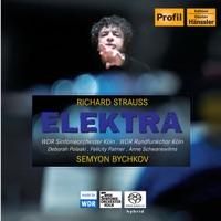 Elektra, Op. 58, TrV 223: Elektra! (Chrysothemis)