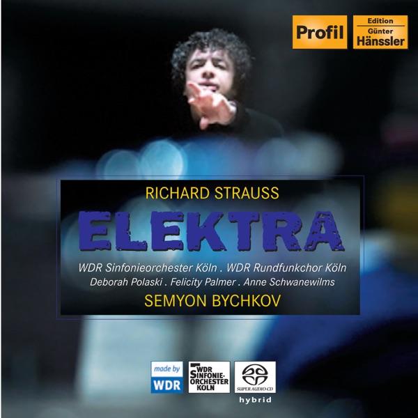 Elektra, Op. 58, TrV 223: Elektra! (Chrysothemis)