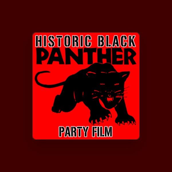 The Black Panthers