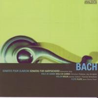 Sonata III In G Minor, for Obbligato Harpsichord and Viola Da Gamba (BWV 1029): I. Allegro (Bach)