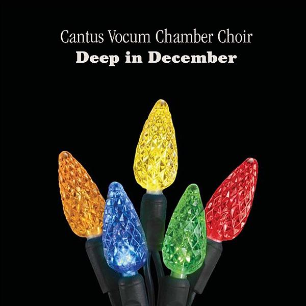 The Winter's Night (feat. Cantus Vocum Chamber Choir)