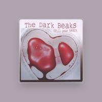 The Dark Beaks
