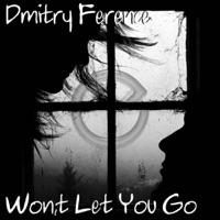 Won't Let You Go (The Madison Mix)
