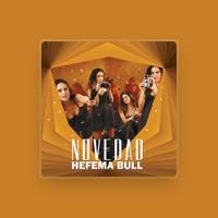 Hefema Bull