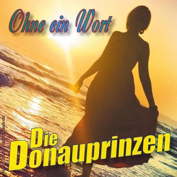 Ohne ein Wort (Karaoke Mix)