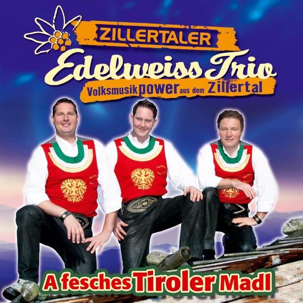Mei Herzbluat is die Musi