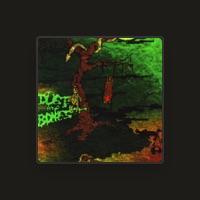 Dust and Bones