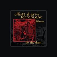 Elliott Sharp's Terraplane