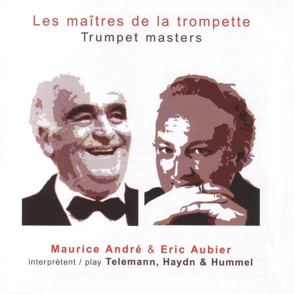 Concerto en Mi majeur Allegro con spirito