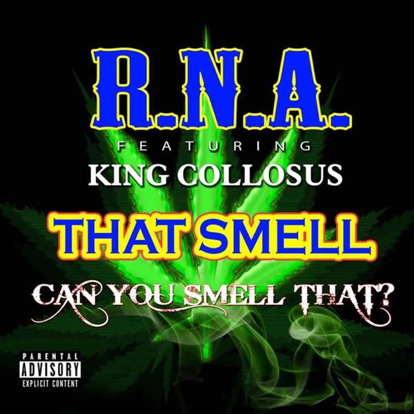 That Smell (feat. Money Mark, V-Hound)
