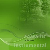 In The Forest (Instrumental)