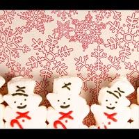 Holiday Break