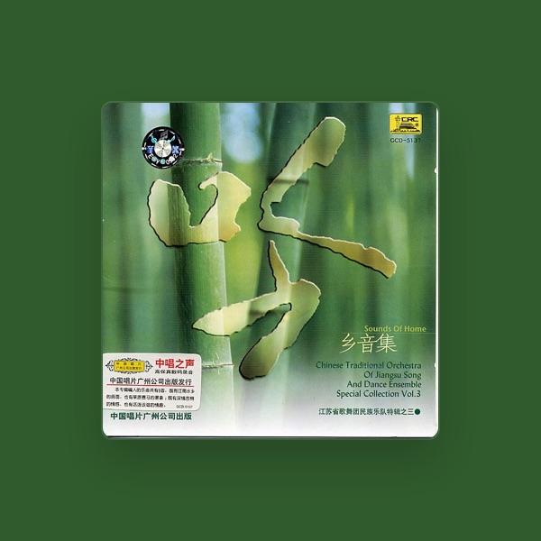 Jiangsu Art Troupe Folk Music Band