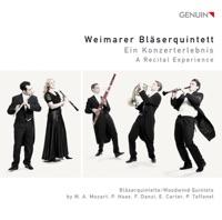 Woodwind Quintet: II. Allegro giocoso