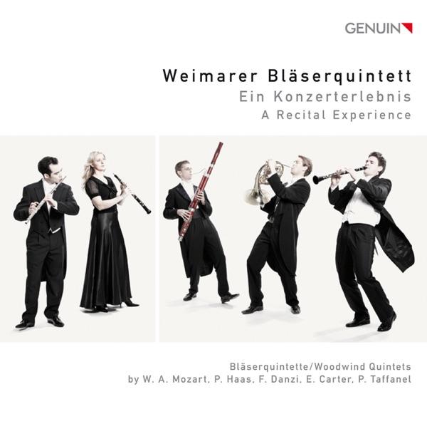 Wind Quintet in G Minor: I. Allegro
