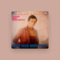 Dzemal Malovcic