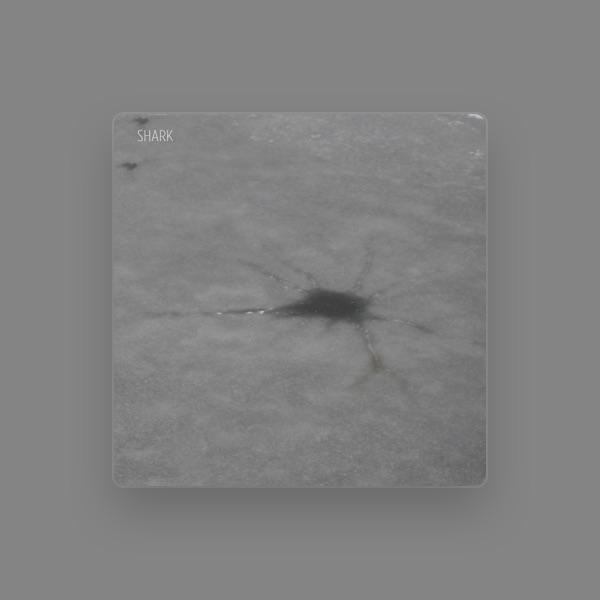 Shark [band]
