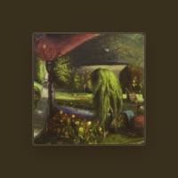 Wooden Wand & The Vanishing Voice