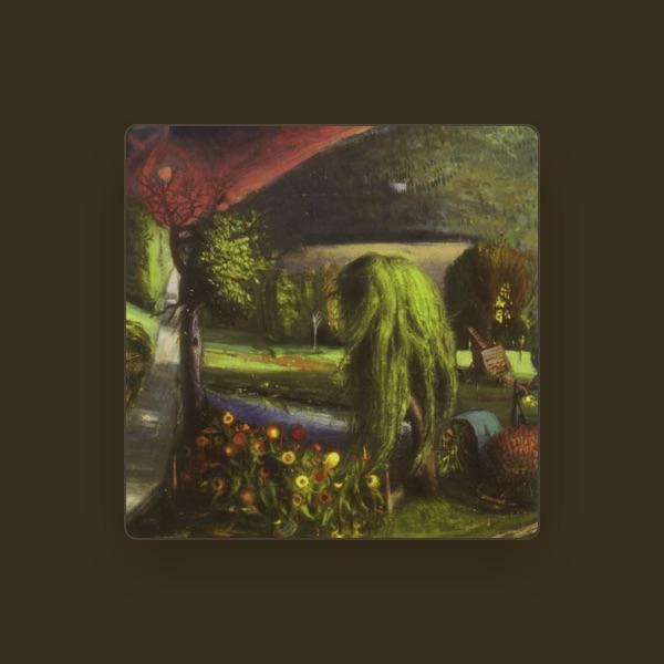 Wooden Wand & The Vanishing Voice