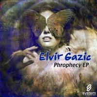 Prophecy (Alex Roque Remix)