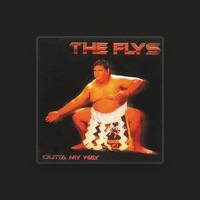 The Flys