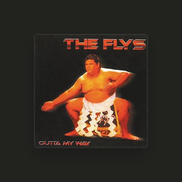 The Flys