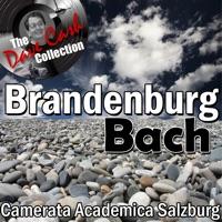 Brandenburg Concerto No. 1 in F Major, BWV 1046: I. Allegro moderato