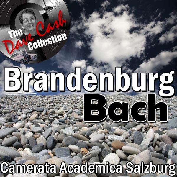 Brandenburg Concerto No. 1 in F Major, BWV 1046: I. Allegro moderato