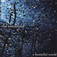 A Beautiful World