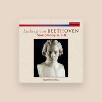 Orchestra Camerata Cassovia