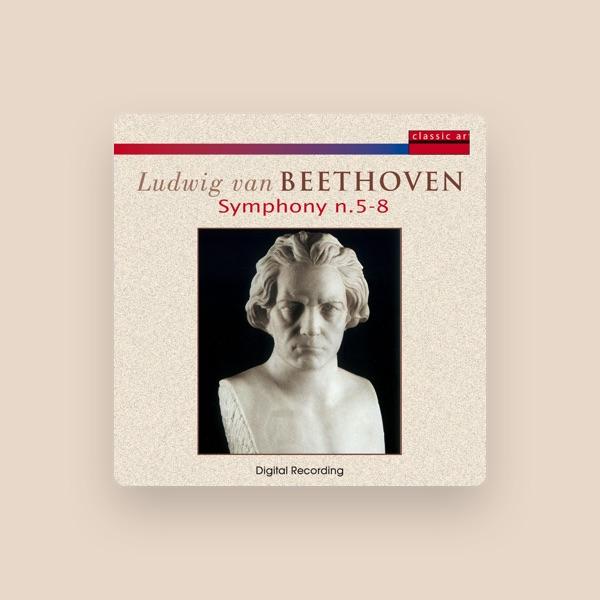 Orchestra Camerata Cassovia
