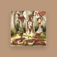 Lividity