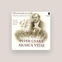 Musica Vitae Chamber Orchestra
