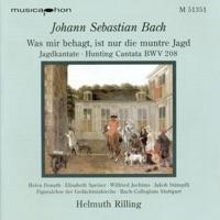 Oboe d'amore Concerto in F major (after BWV 1053): I. (Allegro)