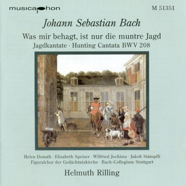 Oboe d'amore Concerto in F major (after BWV 1053): I. (Allegro)