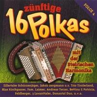 Mir Sein Tiroler (Radio Version)